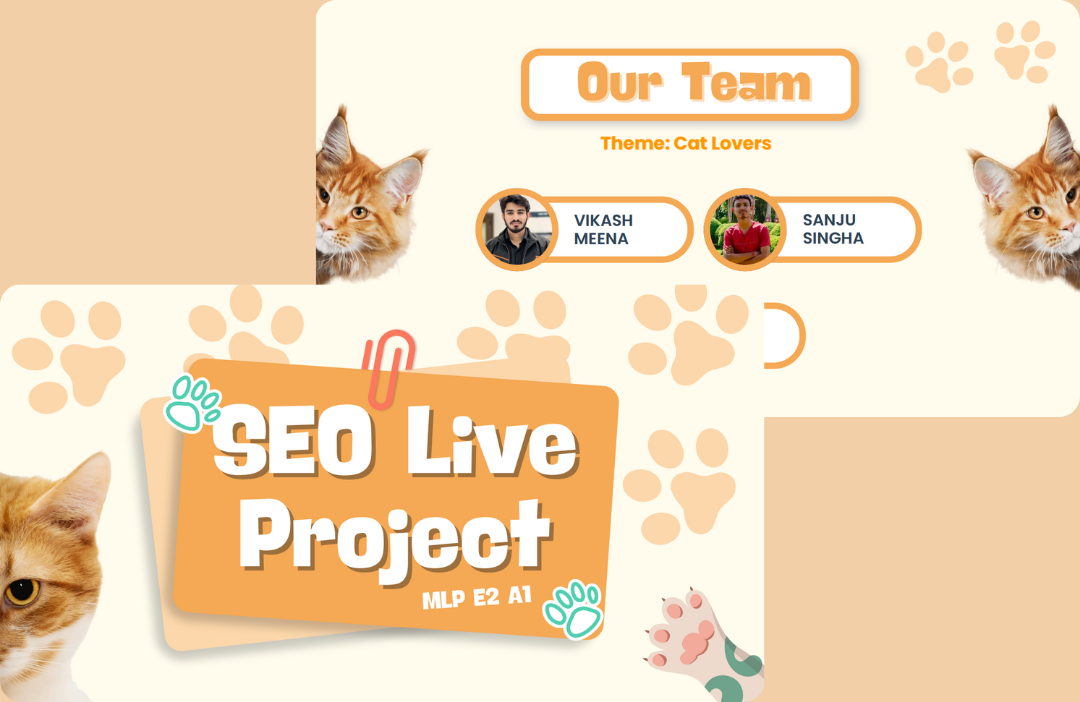 SEO project